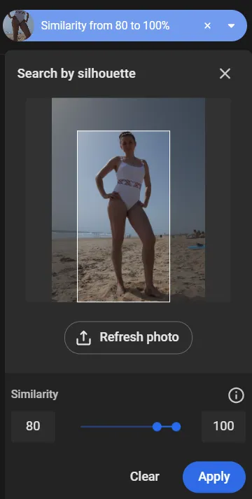 Search by silhouette dialog showing the uploaded photo, bounding box, and similarity slider set to 80-100%